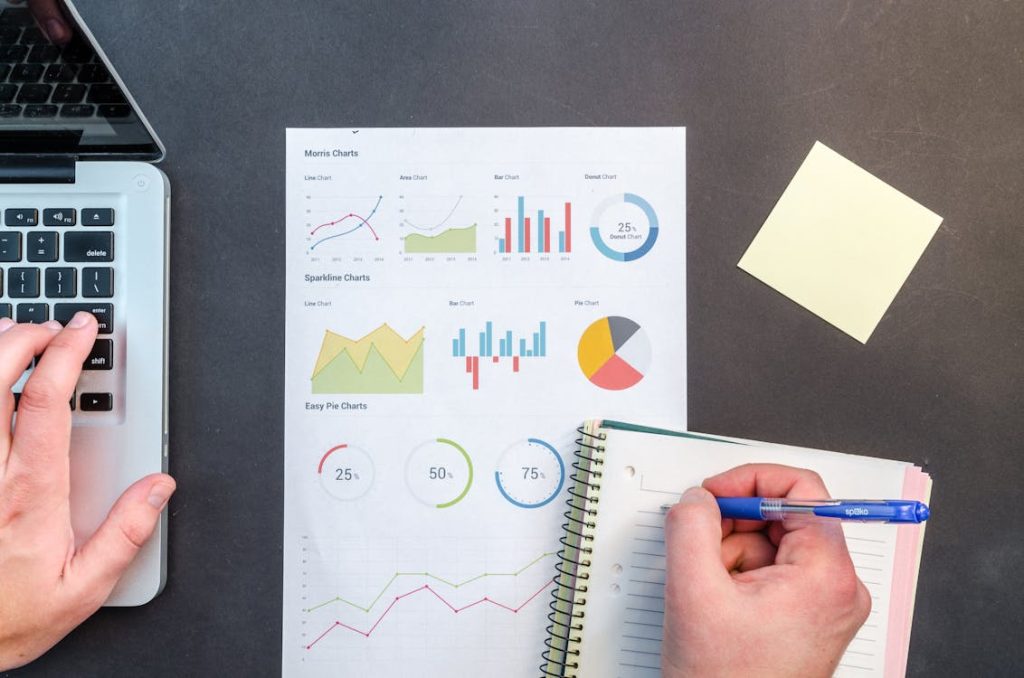 SEO & Web Geliştirme